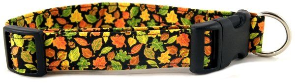 Fall Leaves Dog Collar (Option: X-Small)