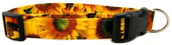 Metallic Bumble Bees Dog Collar (Option: X-Small)