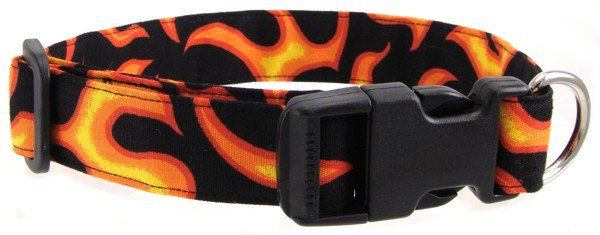 Orange Flame Dog Collar (Option: X-Small)